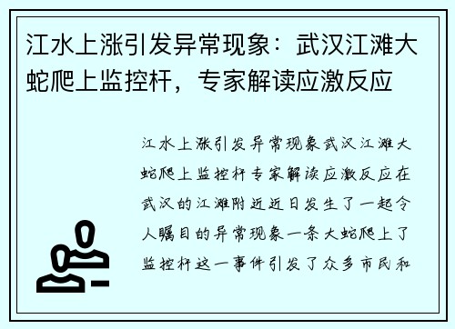 江水上涨引发异常现象：武汉江滩大蛇爬上监控杆，专家解读应激反应